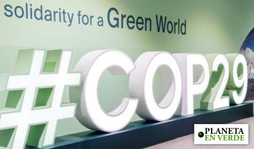 Inici&oacute; la COP29 en Bak&uacute; buscando un futuro clim&aacute;tico sostenible