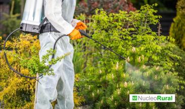 Investigadores desarrollan biopesticida sostenible contra plaga de frutas