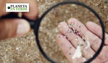 Materiales biol&oacute;gicos podr&iacute;an ser m&aacute;s da&ntilde;inos que los pl&aacute;sticos