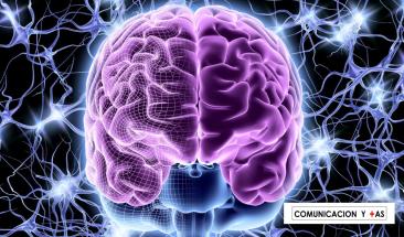 La ciencia avanza hacia el borrado de recuerdos