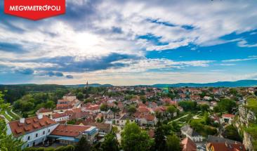 Bosques urbanos transforman ciudades y mejoran el bienestar humano