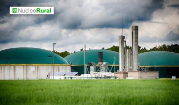 La reducci&oacute;n de metano en la agricultura es tema central de la COP29