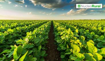 La agricultura pide financiaci&oacute;n en la COP29 para enfrentar la crisis clim&aacute;tica