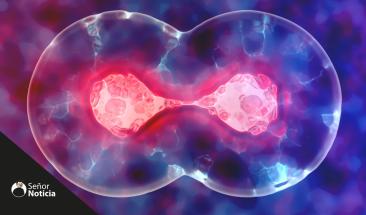 Cient&iacute;ficos descubren un nuevo estado entre la vida y la muerte