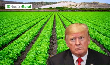 Nuevo gobierno de Trump podr&iacute;a desestabilizar sector agr&iacute;cola en EE.UU.