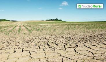 Peque&ntilde;os agricultores peruanos en Piura enfrentan fuerte sequ&iacute;a