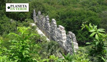 Selva Maya: el costo ambiental del boom tur&iacute;stico en M&eacute;xico