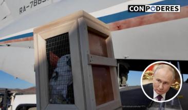 Putin regala animales ex&oacute;ticos a Corea del Norte