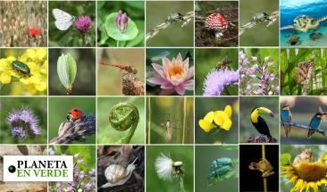 Diecisiete pa&iacute;ses protegen tesoros naturales &uacute;nicos del planeta