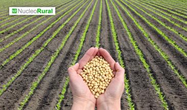 Agroindustria reinventa sus modelos financieros hacia la sostenibilidad