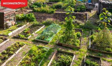 Los huertos urbanos arrasan en las ciudades del mundo