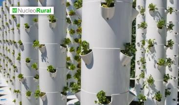 Jap&oacute;n reinventa la agricultura con cultivos sin tierra