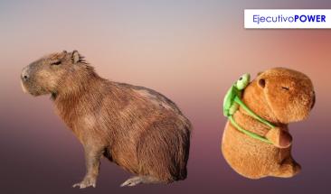 Empresario chino registra la palabra &ldquo;Capibara&rdquo; ante Indecopi