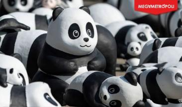 Hong Kong exhibir&aacute; 2,500 pandas para cautivar a turistas