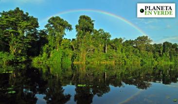 Arbio promueve el dialogo sobre el rol empresarial para conservar la Amazon&iacute;a