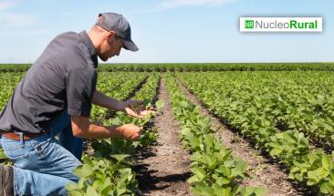 Brasil liderar&aacute; agenda clim&aacute;tica enfocada en la agricultura