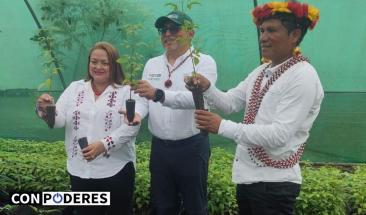 Per&uacute;: Gobierno entrega S/ 742,500 a comunidad Awaj&uacute;n para reforestaci&oacute;n