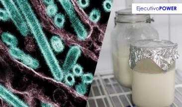 El virus de la gripe sobrevive cinco d&iacute;as en leche cruda
