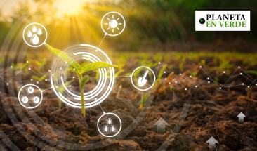 La fotos&iacute;ntesis artificial revolucionar&aacute; la producci&oacute;n de energ&iacute;a limpia