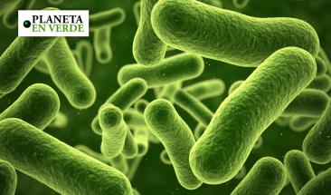 Avances en biolog&iacute;a sint&eacute;tica despiertan alertas sobre riesgos ecol&oacute;gicos