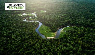 El planeta pierde entre el 2 y 6% de la biodiversidad cada d&eacute;cada