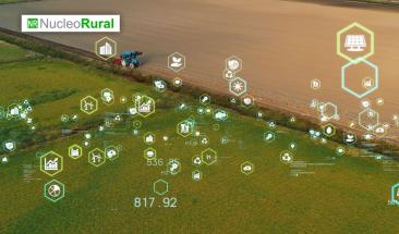 La agricultura chilena se adapta al cambio clim&aacute;tico con nanotecnolog&iacute;a
