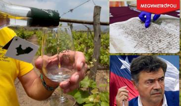 Ministro chileno critica reconocimiento peruano del Pisco en la Unesco