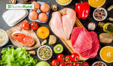 Innovaci&oacute;n ecol&oacute;gica: conservaci&oacute;n de alimentos bajo tierra