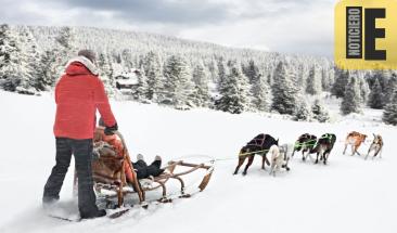 4 deportes de invierno ideales para disfrutar despu&eacute;s de Navidad