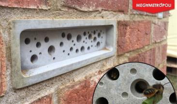 Brighton y Hove incorporan ladrillos refugio para abejas solitarias