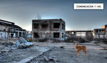 La sorprendente adaptaci&oacute;n de los perros a la radiaci&oacute;n en Chern&oacute;bil