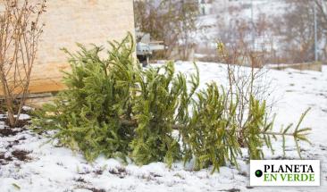 El lado oscuro de la Navidad: huella ambiental mundial