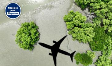 Sector turismo 2025: sostenible, tecnol&oacute;gico y personalizado