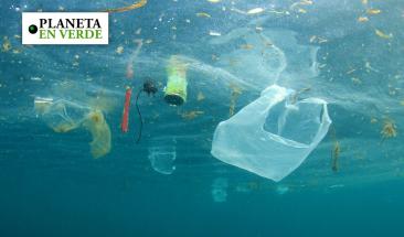 Cient&iacute;ficos japoneses crean pl&aacute;stico que se descompone en el mar