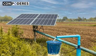 Paneles solares mejoran cultivos y energ&iacute;a sostenible