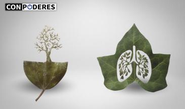 Naturaleza y arte se fusionan en la obra de Lorenzo Dur&aacute;n