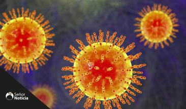 Metapneumovirus: el nuevo virus respiratorio que genera preocupaci&oacute;n en China