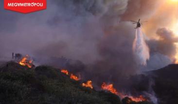 Tres incendios forestales devastan California