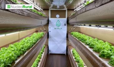 Granja inflable permite cultivar con 99% menos agua