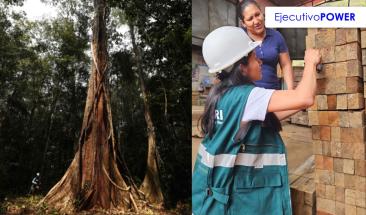 SERFOR autoriza exportaci&oacute;n de shihuahuaco y tahuar&iacute; con garant&iacute;as legales