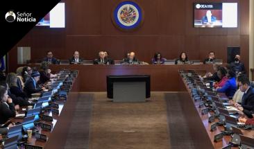 Catorce pa&iacute;ses de la OEA denuncian la ilegitimidad del nuevo mandato de Maduro