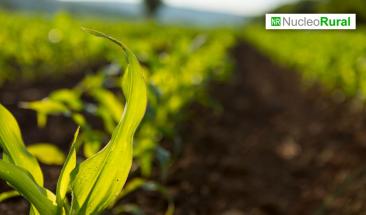 La desalinizaci&oacute;n impulsa la agricultura en zonas &aacute;ridas
