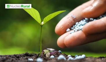 La agricultura del carbono impulsa la sostenibilidad