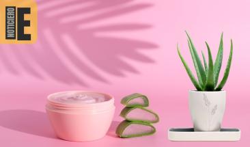 Maquillaje ecol&oacute;gico: apuesta por la belleza sin qu&iacute;micos ni crueldad