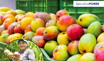 Gobierno de Per&uacute; insta a agricultores a frenar siembra de mango