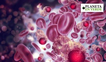 &iquest;Pueden los micropl&aacute;sticos ser causantes del incremento de c&aacute;ncer en j&oacute;venes?