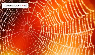 Cient&iacute;ficos crean fibra que imita la telara&ntilde;a de Spiderman