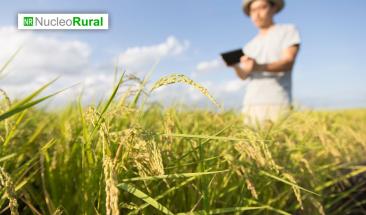 Agroindustria argentina logra exportar a 132 pa&iacute;ses en 2024