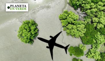 Turismo regenerativo: la nueva era del lujo sostenible en 2025