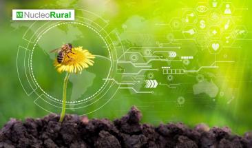 Robots abejas podr&iacute;an revolucionar la polinizaci&oacute;n y la agricultura